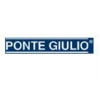 Pontegiulio_logucis